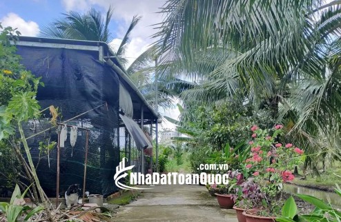 Đất nền vuông vức 285m2 tại Phú Tân, TP Bến Tre – giá rẻ bất ngờ!