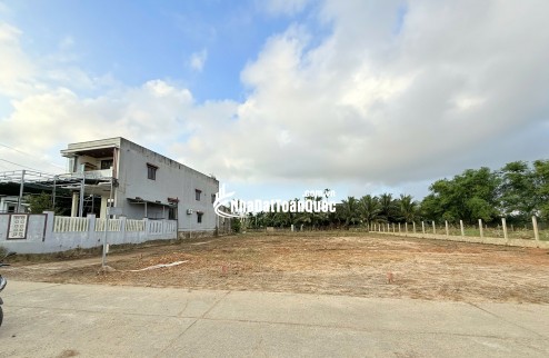  BÁN ĐẤT GIÁ RẺ – GẦN QUỐC LỘ, GIÁP HÒA KHƯƠNG, HÒA VANG