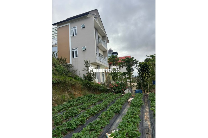 SUẤT ĐẦU TƯ HIẾM – 611m² P7 ĐÀ LẠT VIEW SĂN MÂY – HOÀNG HÔN ĐỈNH CAO – GIÁ 14,9 TỶ