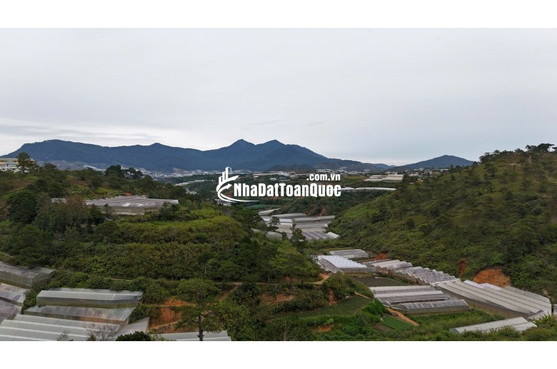 SUẤT ĐẦU TƯ HIẾM – 611m² P7 ĐÀ LẠT VIEW SĂN MÂY – HOÀNG HÔN ĐỈNH CAO – GIÁ 14,9 TỶ