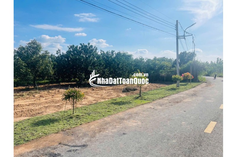  Chỉ 300 Triệu – Sở Hữu Đất Thổ Cư + Tặng Kèm Vườn Bưởi Đang Thu Hoạch