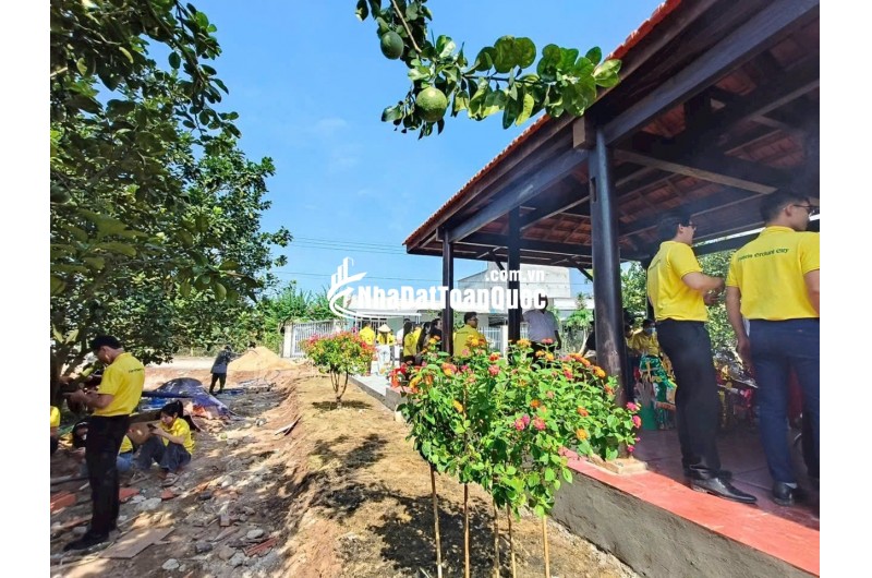  Chỉ 300 Triệu – Sở Hữu Đất Thổ Cư + Tặng Kèm Vườn Bưởi Đang Thu Hoạch