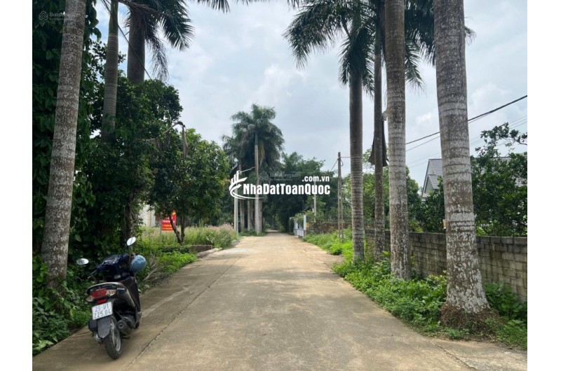 Cắt lỗ gấp: Chính chủ cần bán gấp lô đường Hàng Cau đồng trạng giá ngã cây liên hệ 0931xx