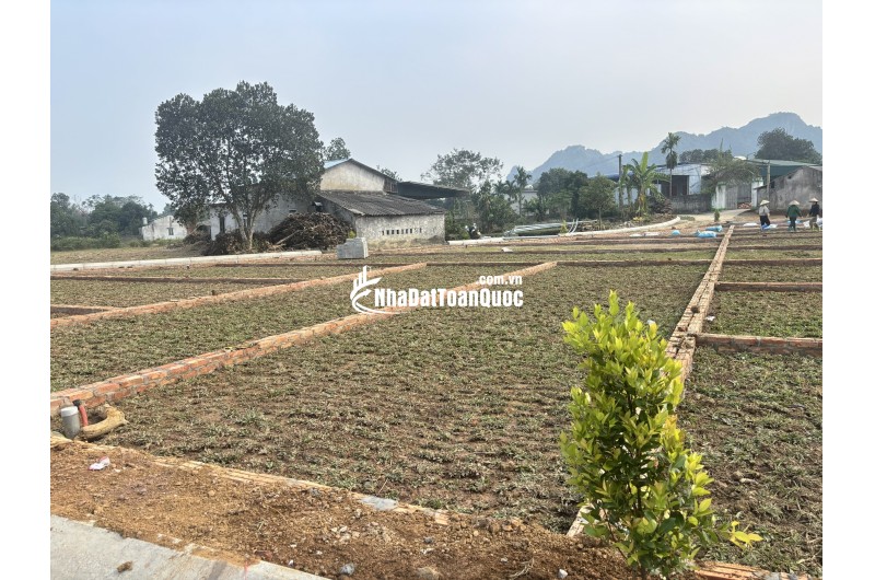 CHỈ VỚI 3xxTRIỆU - CƠ HỘI TĂNG TÀI SẢN BỨT PHÁ 