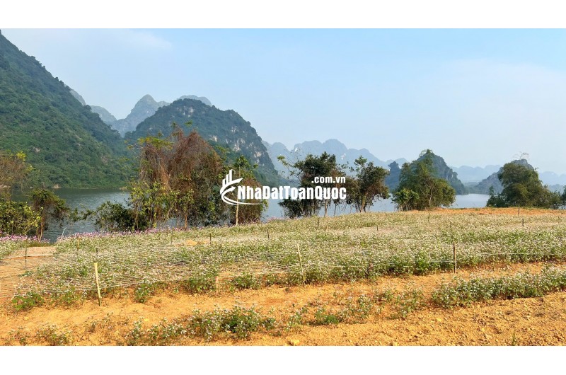 Phân phối shophouse dự án Utopia Phú Thọ (Hòa Bình cũ)