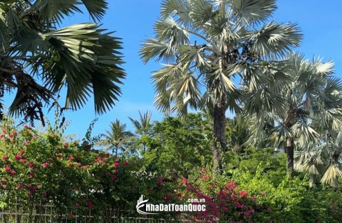  TUYỆT PHẨM NHÀ PHỐ BIỂN ĐÀ NẴNG - MẶT TIỀN TÂN LƯU - NGANG 6M BỀ THẾ - FULL NỘI THẤT GỖ CAO CẤP