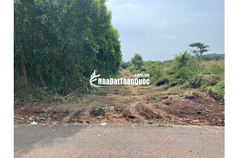 BÁN 7691.5 M² ĐẤT XÃ LONG TÂN, ĐẤT ĐỎ GIÁ 3 TỶ / SÀO. LH:0938677702.