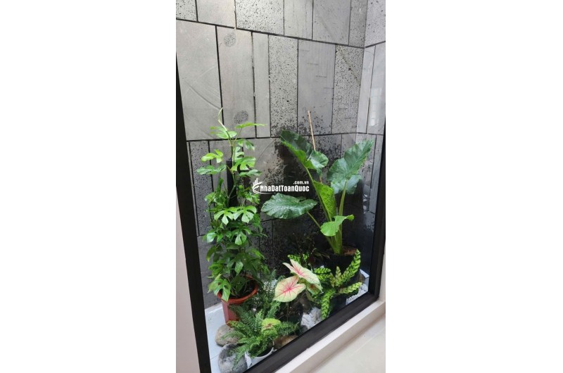 Bán nhà nát tặng GPXD HXH Quang Trung thông thương ngang 4m 56m2 tiện xây siêu phẩm chỉ 5.6 tỷ.