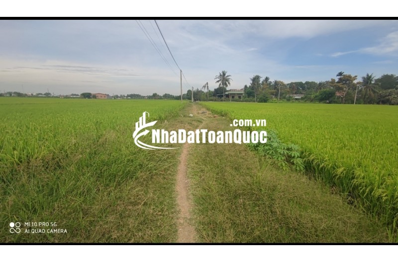 Bán gấp lô đất thổ lúa gần Quốc Lộ 50B hạ giá 6 tỷ