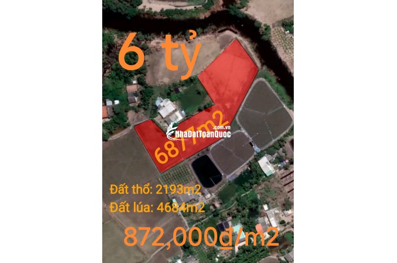 Bán gấp lô đất thổ lúa gần Quốc Lộ 50B hạ giá 6 tỷ