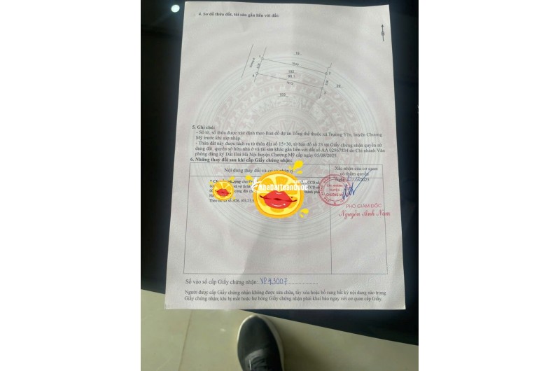 LÔ ĐẤT 98,1M FULL THỔ CƯ TẠI TÂN YÊN, TRƯỜNG YÊN, CHƯƠNG MỸ, HÀ NỘI