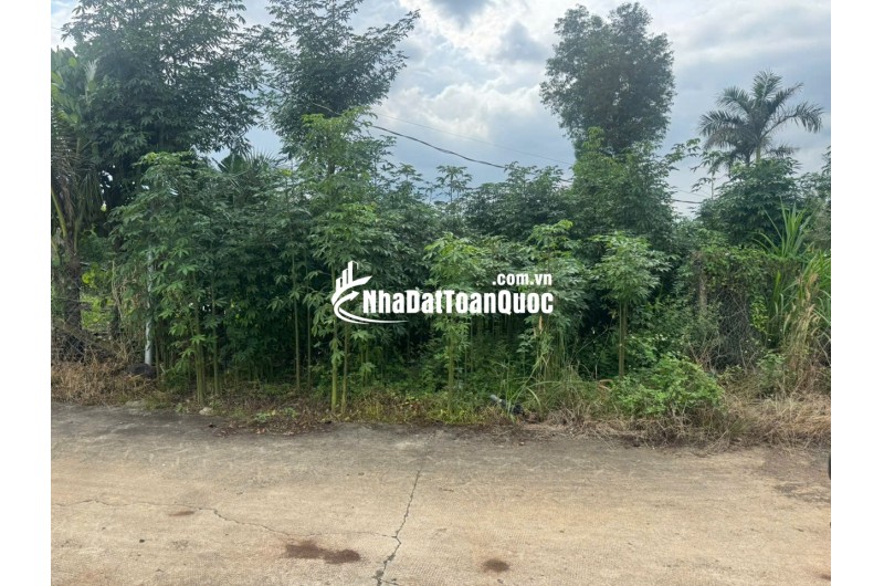 BÁN ĐẤT THỔ ĐỒNG NAI – GIÁ RẺ