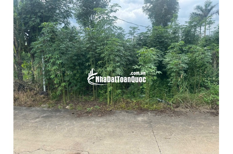 BÁN ĐẤT THỔ ĐỒNG NAI – GIÁ RẺ