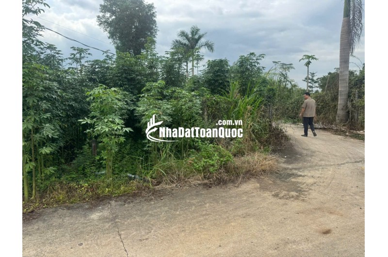 BÁN ĐẤT THỔ ĐỒNG NAI – GIÁ RẺ 