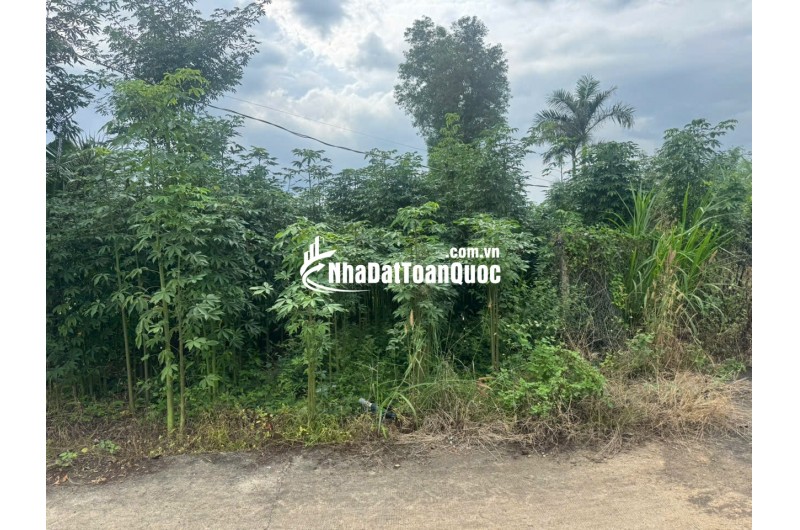 BÁN ĐẤT THỔ ĐỒNG NAI – GIÁ RẺ 