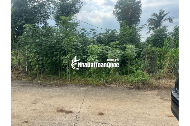 BÁN ĐẤT THỔ ĐỒNG NAI – GIÁ RẺ 