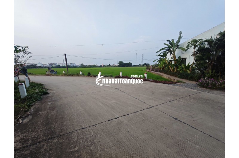 Bán lô đất lúa chuyển thổ đường bê tông 6m giá 1,55 tỷ