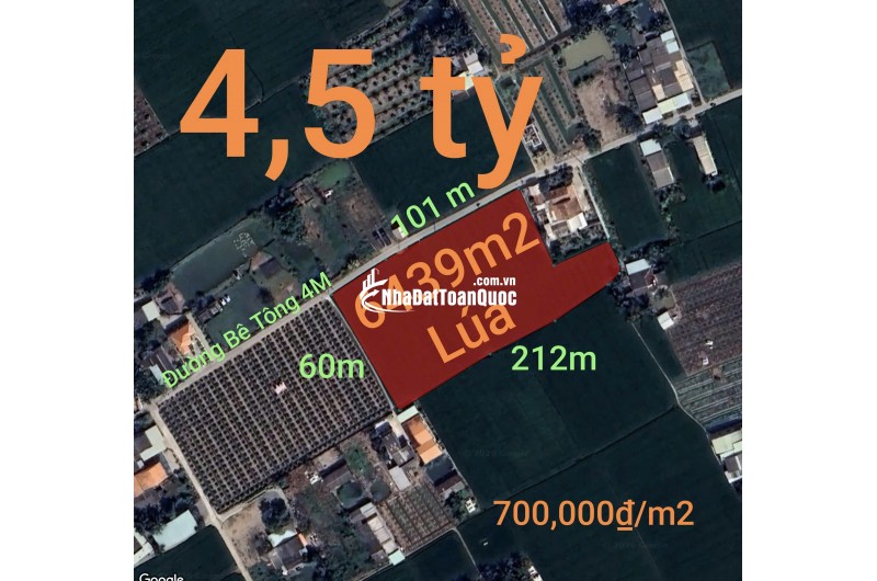Bán lô đất lúa chuyện thổ phân lô gần Quốc Lộ 50B giá 4,5 tỷ