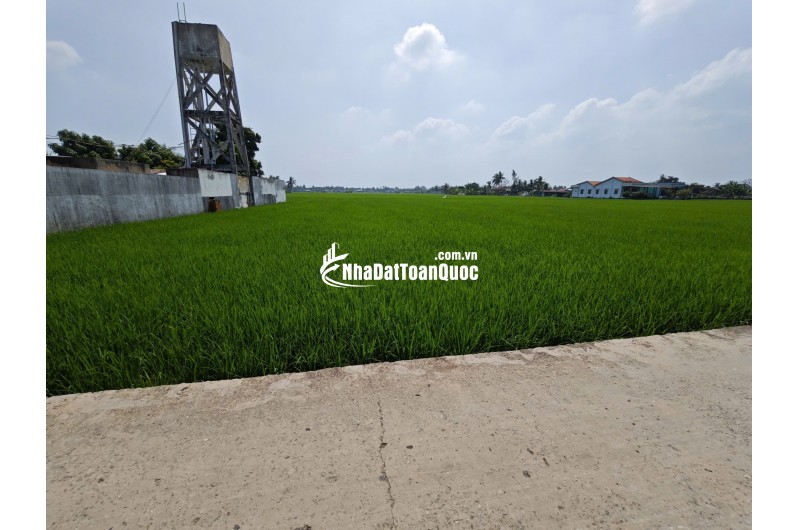 Bán lô đất lúa chuyện thổ phân lô gần Quốc Lộ 50B giá 4,5 tỷ