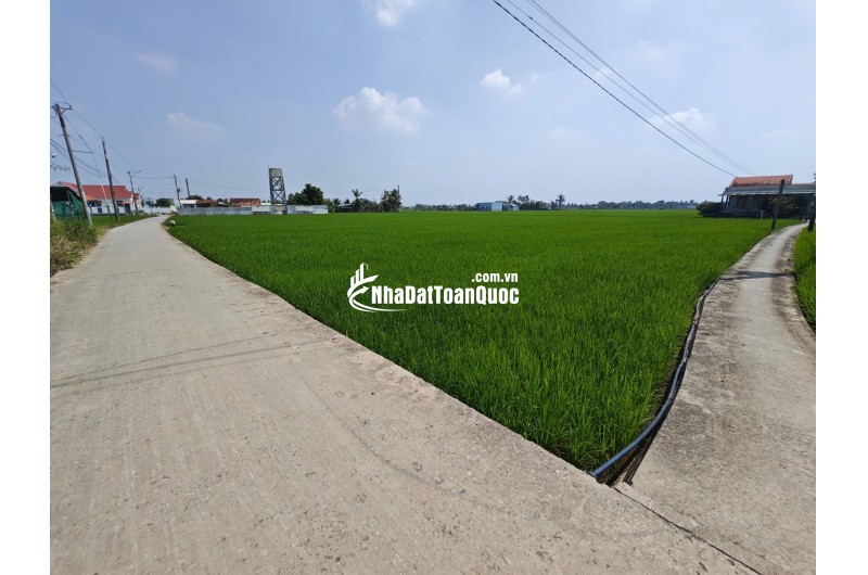 Bán lô đất lúa chuyện thổ phân lô gần Quốc Lộ 50B giá 4,5 tỷ