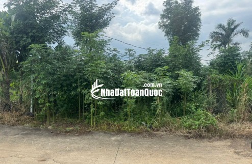 BÁN ĐẤT THỔ ĐỒNG NAI – GIÁ RẺ 