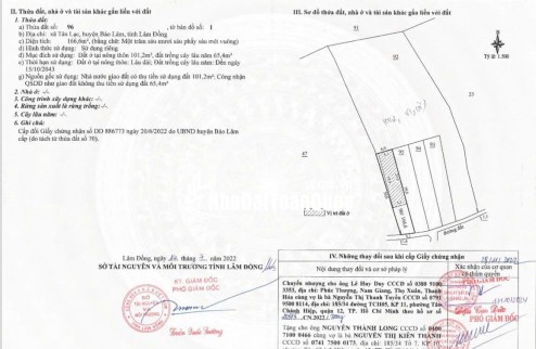 Bán 166,6m2 đất Tân Lạc Lâm Đồng, sẵn SHR, chỉ 450tr buông sổ. Lh:0983762203