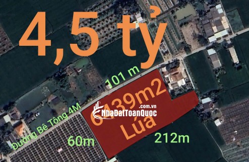 Bán lô đất lúa chuyện thổ phân lô gần Quốc Lộ 50B giá 4,5 tỷ