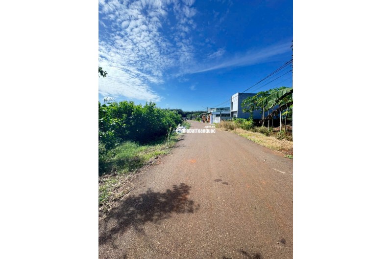 cần bán gấp gần 1 xào đất Long Phước, TP Bà Rịa nay phường Tam Long