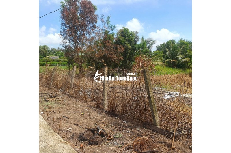 Bán lô đất lúa xã Tân Trụ giá 5,2 tỷ