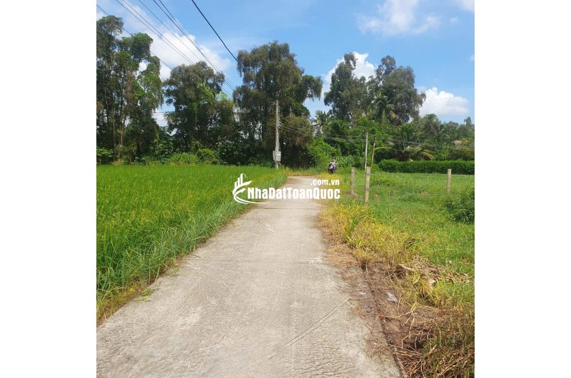 Bán lô đất lúa xã Tân Trụ giá 5,2 tỷ