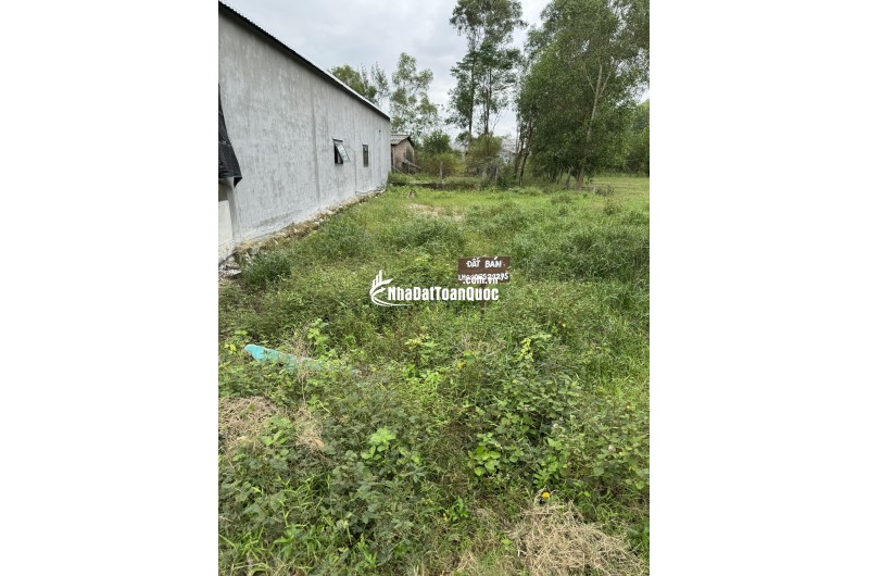 Bán đất tại Phú Gia, Xã Phú Vang, Thành Phố Huế DT: 100 m2 SHR: 620tr. LH: 0906529275