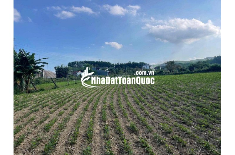 Đất làm vườn nghĩ dưỡng view sông sát đường đi Núi Thần Tài 3800m2 chỉ 5.3 tỷ. Lh:0913913077.