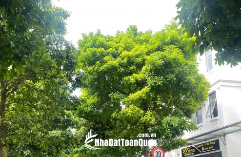 CĂN SHOP HOUSE GIÁ TỐT NHẤT KĐT LA VIDA VŨNG TÀU CÓ SỔ HỒNG SỞ HỮU LÂU DÀI. LH:0974245554.