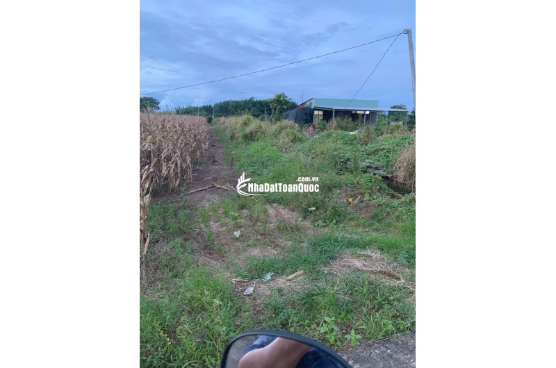 BÁN 4761m2 ĐẤT XÃ LÁNG DÀI, NGAY CHỢ LÁNG DÀI, HUYỆN ĐẤT ĐỎ BÀ RỊA (NAY LÀ XÃ ĐẤT ĐỎ - HCM)