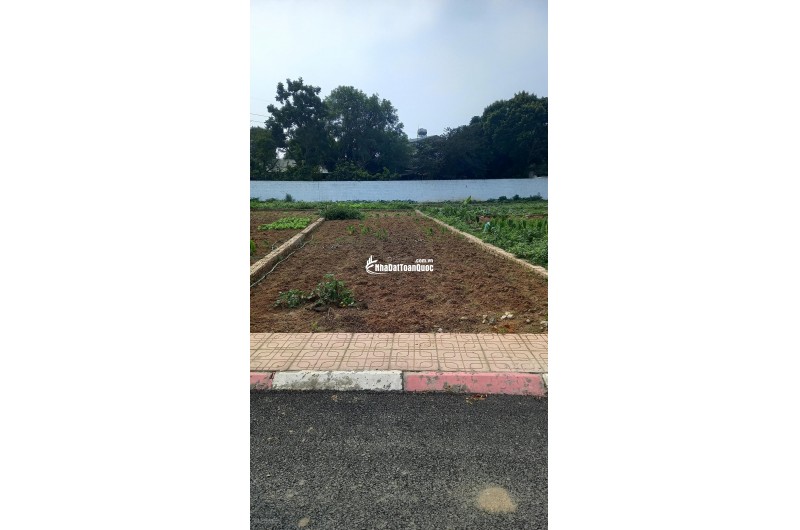 Bán đất nền phân lô Hoà Lạc, ĐH Quốc Gia Hà Nội, 100M2 MT 5m, Đầu tư tiềm năng, giá chỉ từ 3.x tỷ