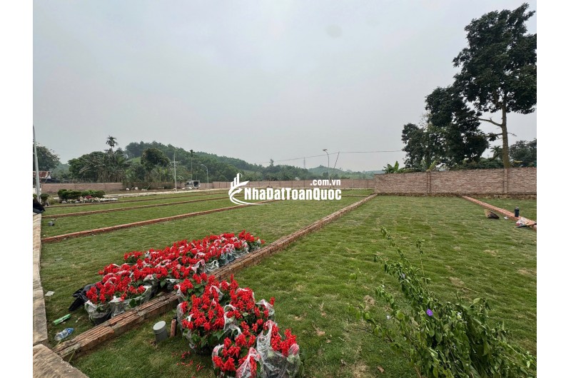 HƠN 300 TRIỆU – SỞ HỮU NGAY LÔ ĐẤT SÁT HÀ NỘI! 