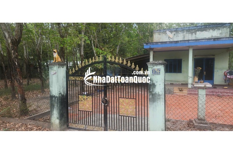 CẦN BÁN QUỸ ĐẤT LỚN 3 MẶT TIỀN NGAY SAU LƯNG CHỢ ĐỊNH HIỆP – DẦU TIẾNG