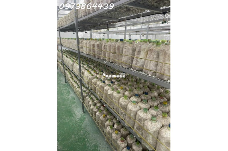 BÁN ĐẤ-  TẶNG XƯỞNG NẤM - PIN NĂNG LƯỢNG MẶT TRỜI MẶT TIỀN KINH DOANH - TẠI CỦ CHI - NGANG 18M - 2300M2 - GIÁ 12 TỶ TL