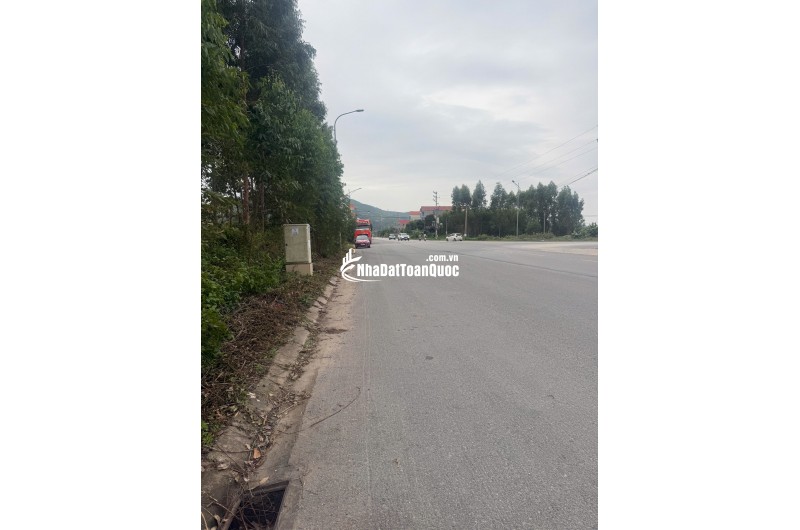 Bán đất đấu giá Xuân Phú, Yên Dũng, Bắc Giang: 90m2 - MT 5m. Đường 32m - giá 3,9 tỷ