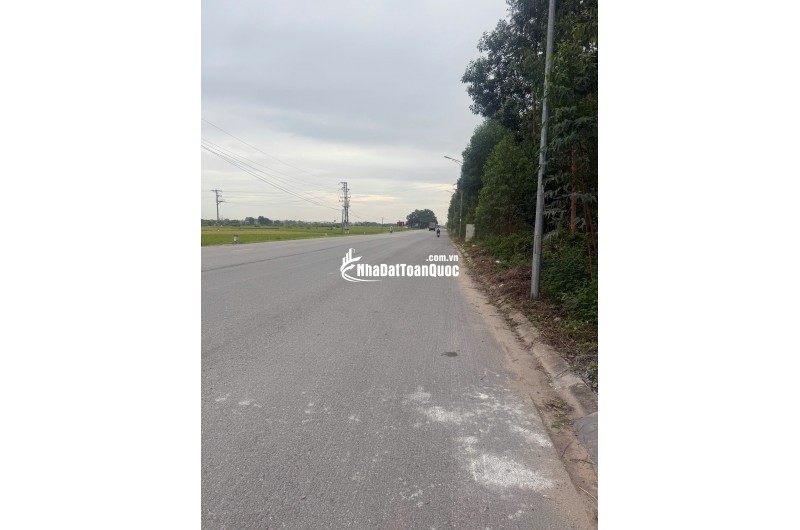Bán đất đấu giá Xuân Phú, Yên Dũng, Bắc Giang: 90m2 - MT 5m. Đường 32m - giá 3,9 tỷ