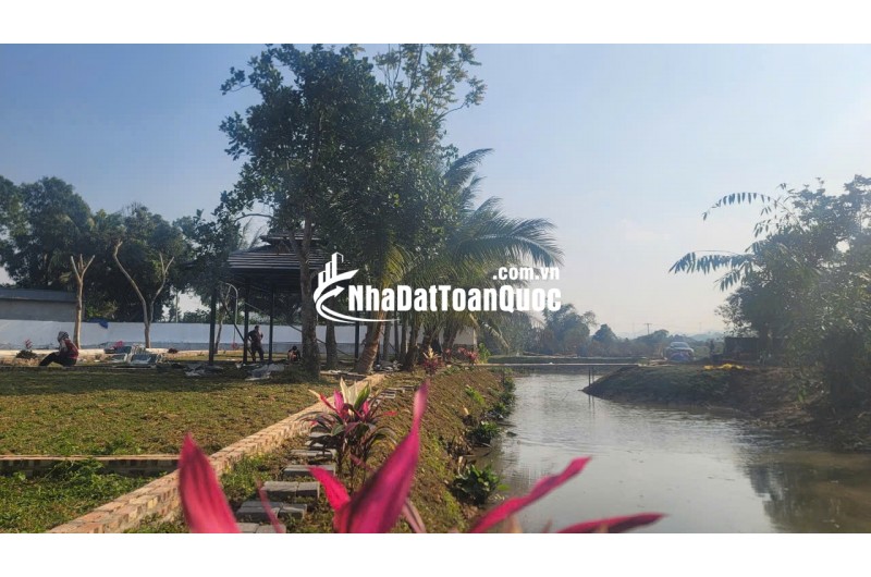 KIM BÔI – KHÔNG ỒN ÀO, NHƯNG NGƯỜI NHẠY BÉN ĐÃ ĐI TRƯỚC