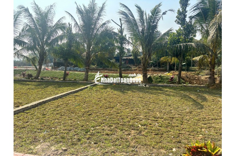 KIM BÔI – KHÔNG ỒN ÀO, NHƯNG NGƯỜI NHẠY BÉN ĐÃ ĐI TRƯỚC