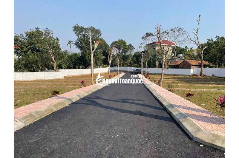 KIM BÔI – KHÔNG ỒN ÀO, NHƯNG NGƯỜI NHẠY BÉN ĐÃ ĐI TRƯỚC