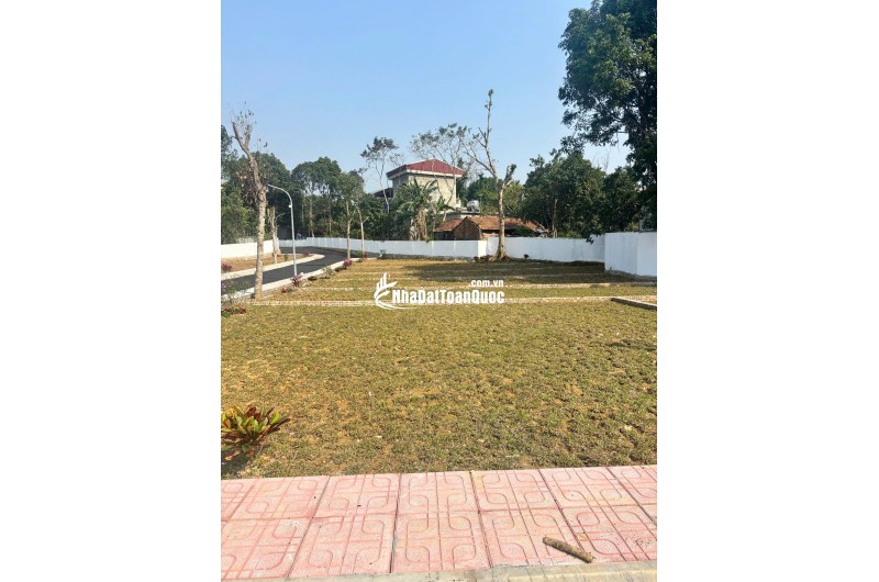 KIM BÔI – KHÔNG ỒN ÀO, NHƯNG NGƯỜI NHẠY BÉN ĐÃ ĐI TRƯỚC