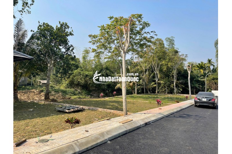 KIM BÔI – KHÔNG ỒN ÀO, NHƯNG NGƯỜI NHẠY BÉN ĐÃ ĐI TRƯỚC