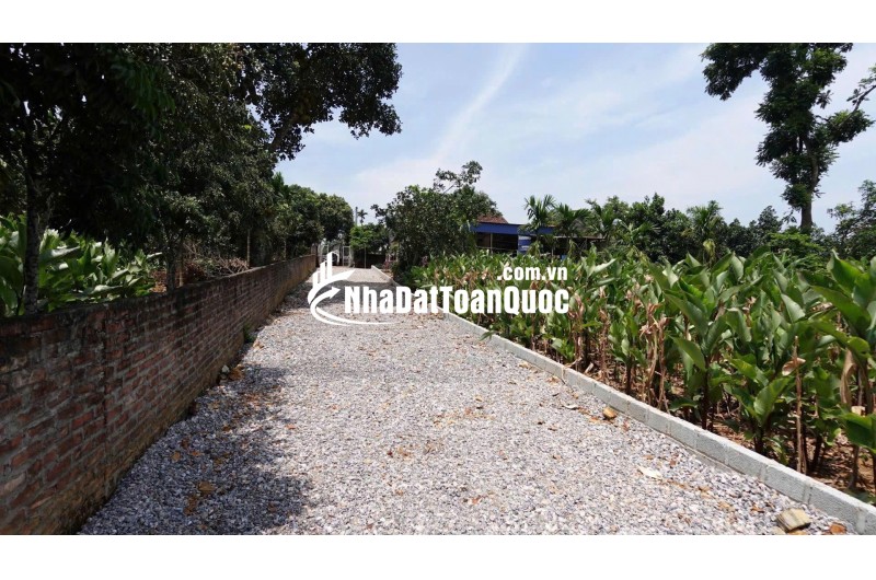 Mảnh đất nghỉ dưỡng view hồ còn sót lại tại Đầm Sản, Ba Vì, Hà Nội (xã Minh Quang cũ)