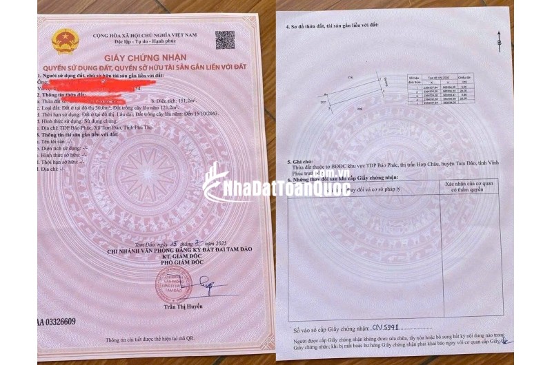 NHÀ ĐẸP  - GIÁ TỐT Chính Chủ Cần bán nhanh căn nhà tại xã Tam Đảo tỉnh Vĩnh Phúc