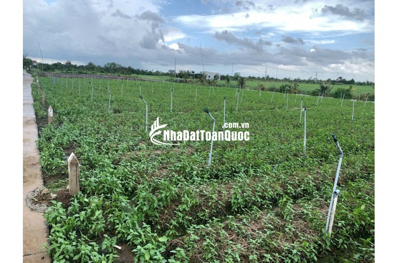 Cần vốn kinh doanh, bán 2 lô đất liền kề thu hồi vốn Bình Ân