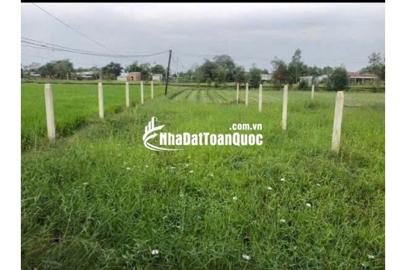 BÁN ĐẤT TẠI ĐỨC HOÀ DT102M2 SHR GIÁ BÁN 890T  THƯƠNG LƯỢNG. LH:0931821989.