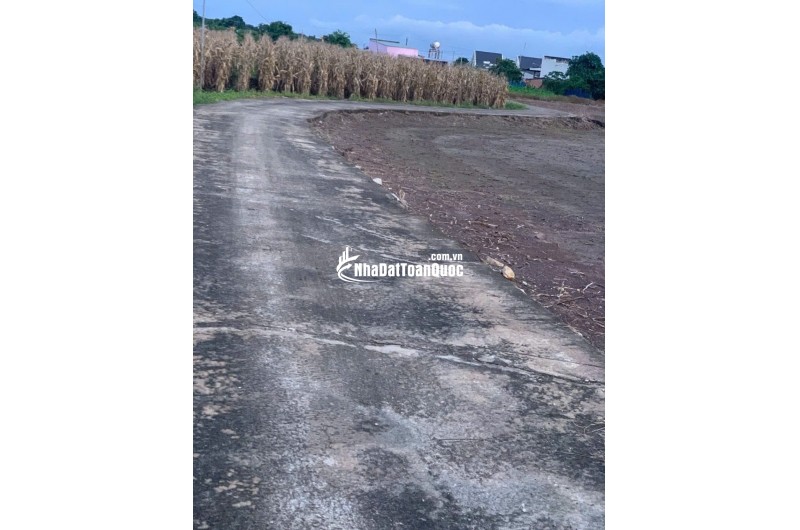 BÁN 4761m2 ĐẤT XÃ LÁNG DÀI, NGAY CHỢ LÁNG DÀI, HUYỆN ĐẤT ĐỎ BÀ RỊA (NAY LÀ XÃ ĐẤT ĐỎ - HCM)